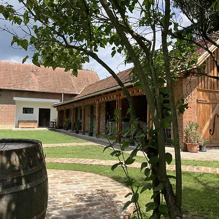 Apartamento Lajtorjás *